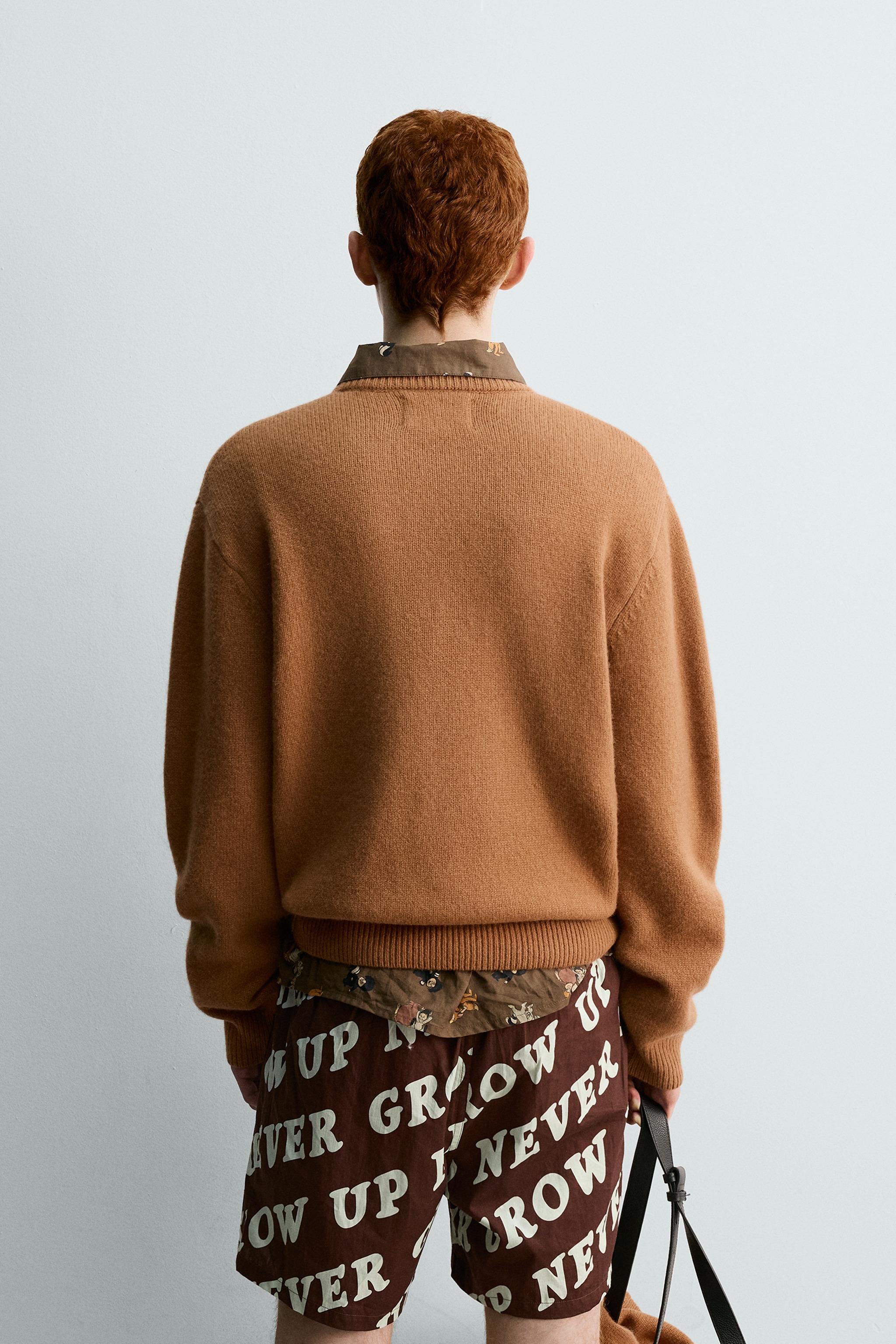 WOOL JUMPER NANA PETER PAN HARRY LAMBERT FOR ZARA X DISNEY